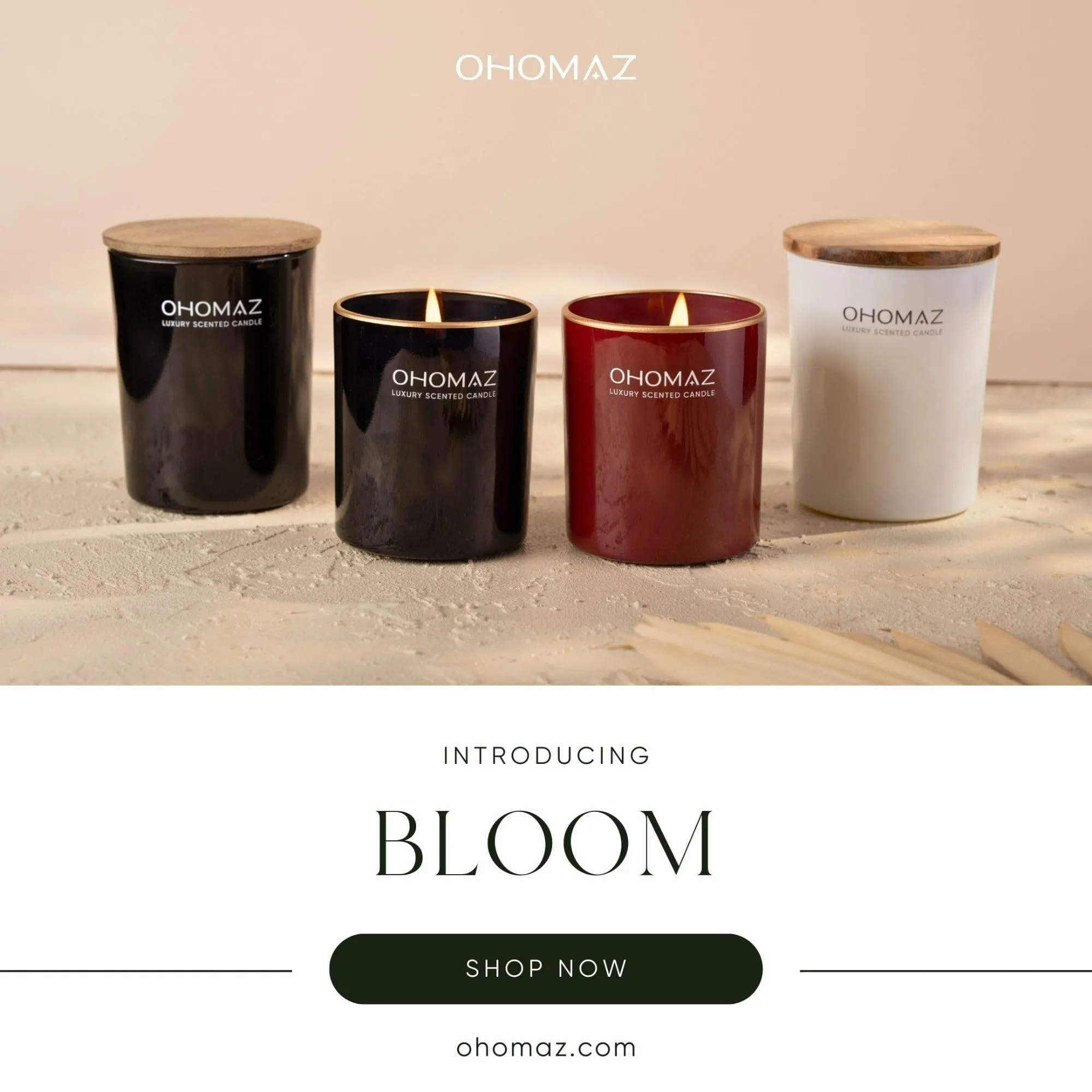 OHOMAZ Enchanted Garden Scented Candle | Majestic Maroon with Gold Rim | 400 gram | Romentic Date Night & Reading Book | Dark Red Rose   Mimosa | Premium Soy Wax | Burn Upto 35 Hrs | Pack of 1