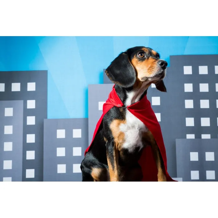 Superhero Cityscape Printed Backdrop